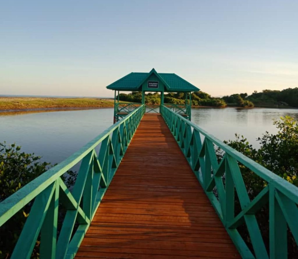 minicopy IMG-20220109-WA0031