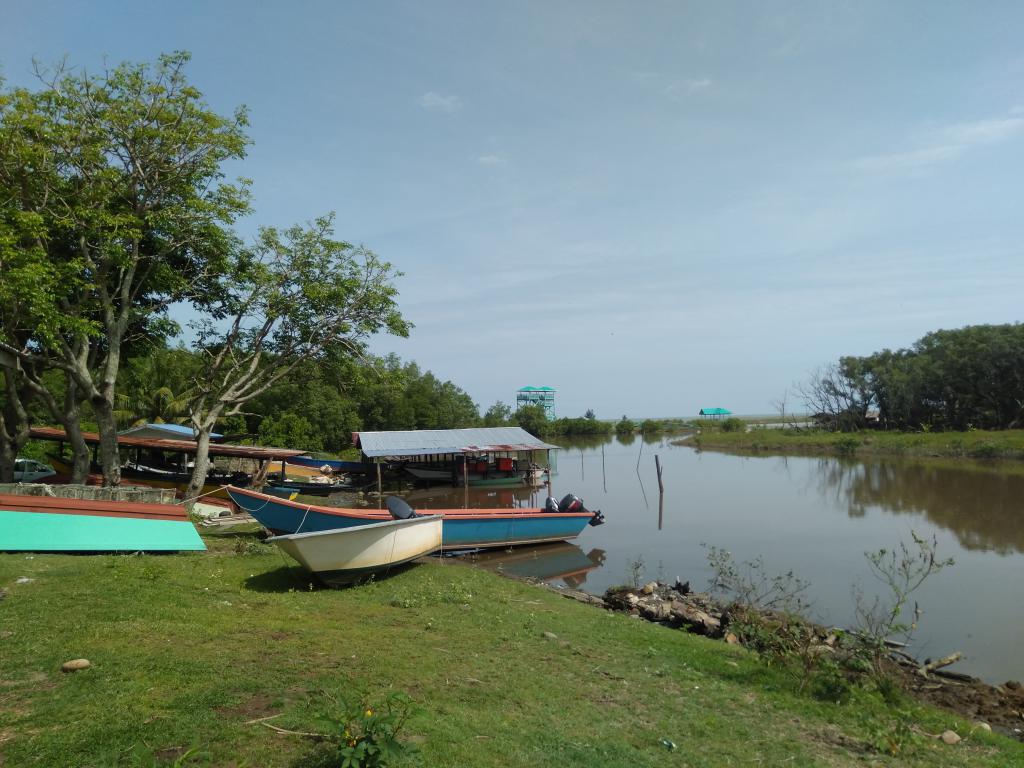 mini IMG20220411093756